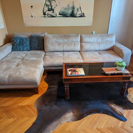 Center, Private Garage, Danube & Fortress, 3 Bdrm 2 Bath Нови-Сад Экстерьер фото