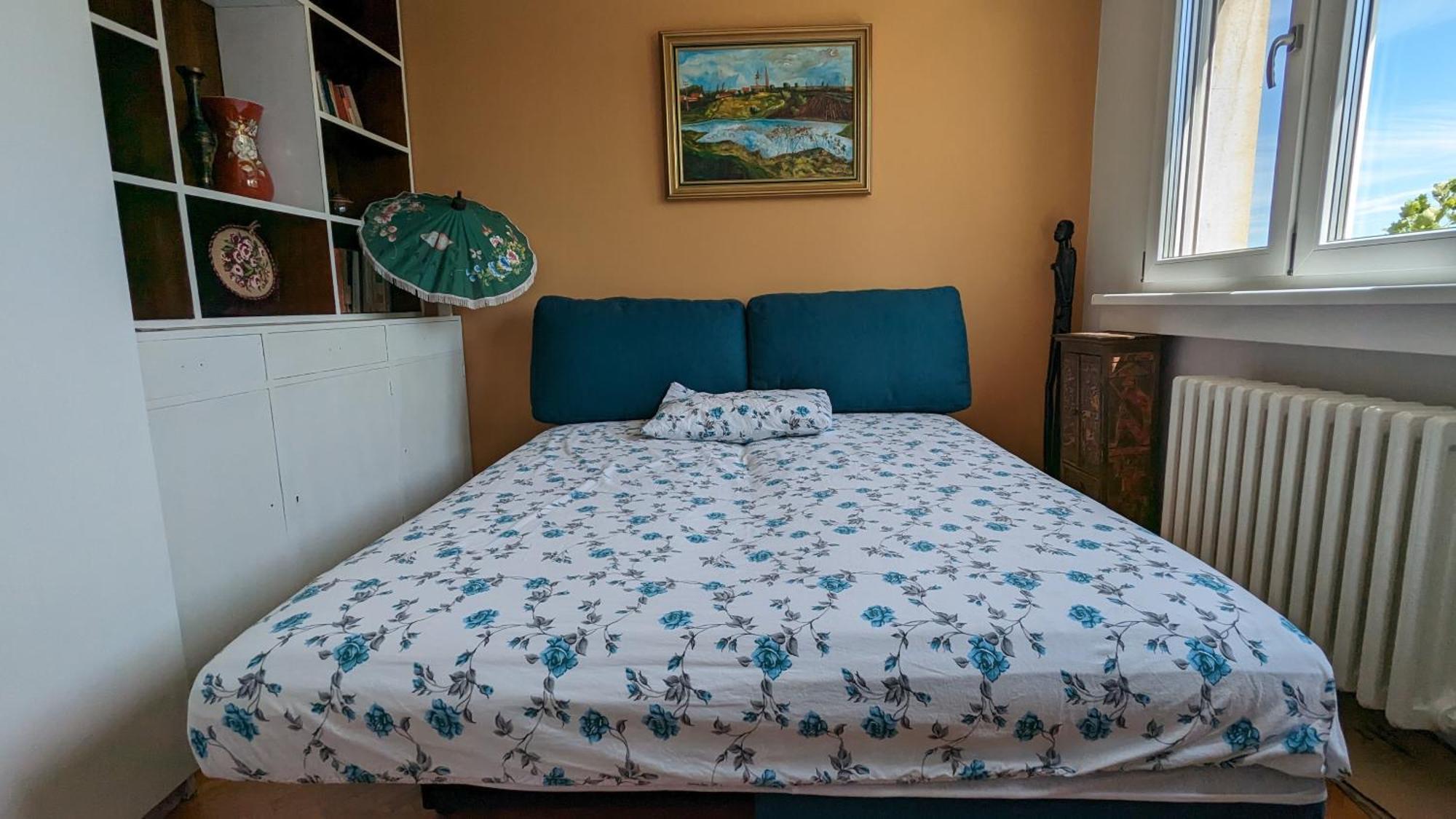 Center, Private Garage, Danube & Fortress, 3 Bdrm 2 Bath Нови-Сад Экстерьер фото