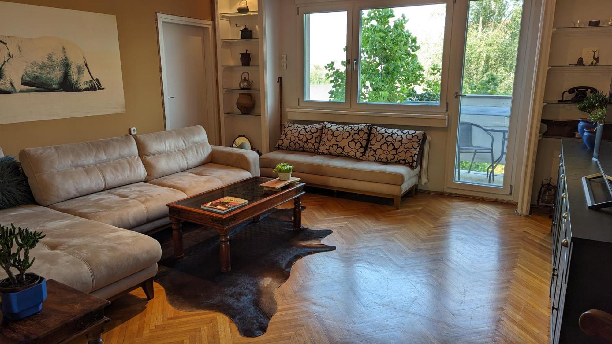 Center, Private Garage, Danube & Fortress, 3 Bdrm 2 Bath Нови-Сад Экстерьер фото